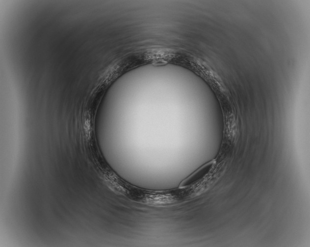 X0000116570716200912171504