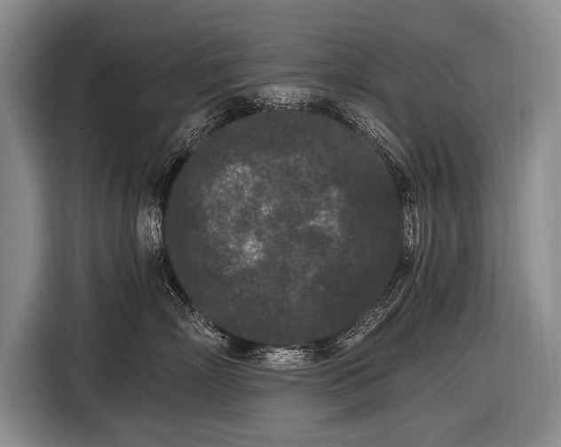 X0000116570718200912171504