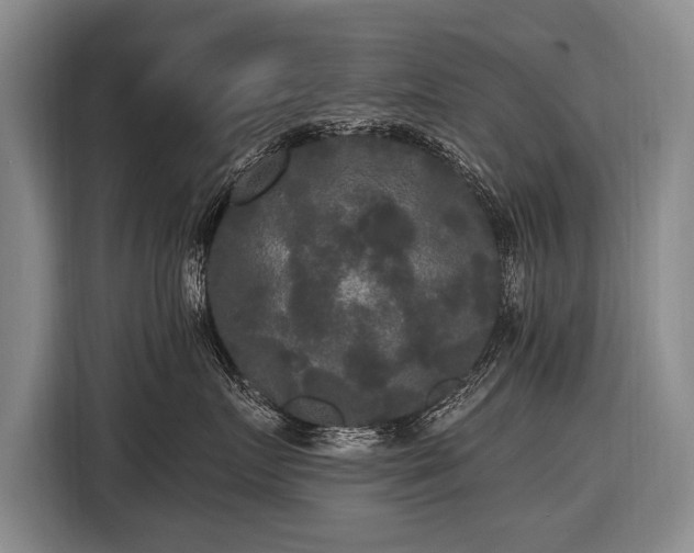 X0000116570719200912171504