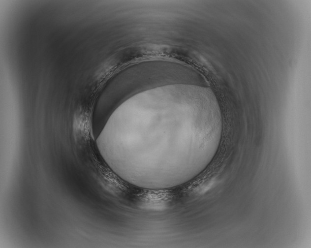 X0000116570720200912171504