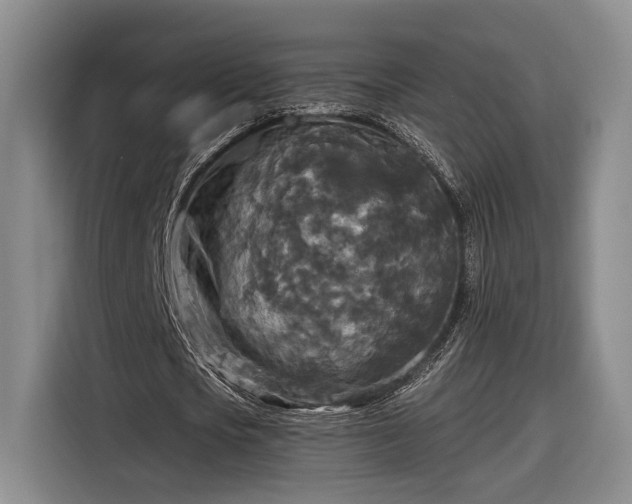 X0000116570721200912171503