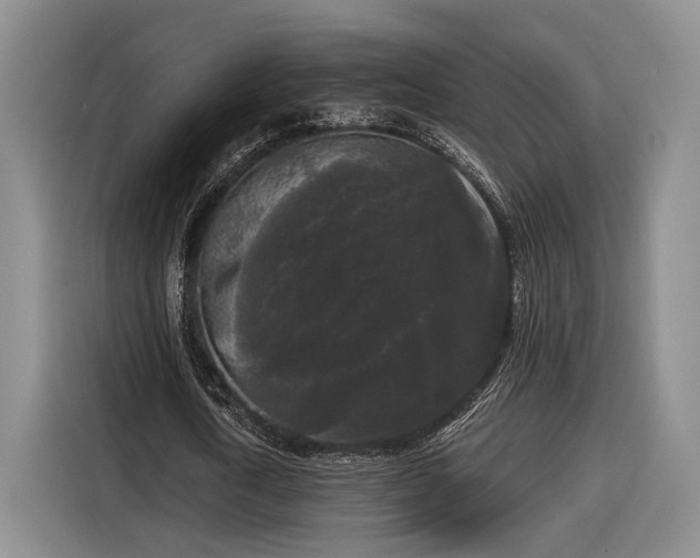 X0000116570722200912171503