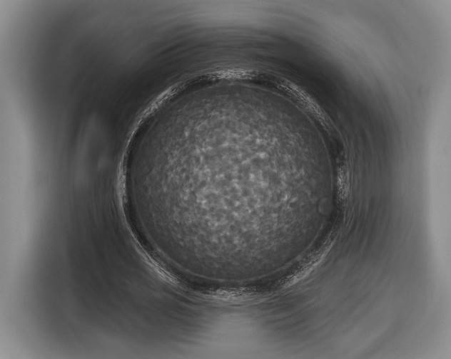 X0000116570725200912171503