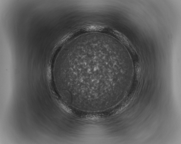 X0000116570729200912171503