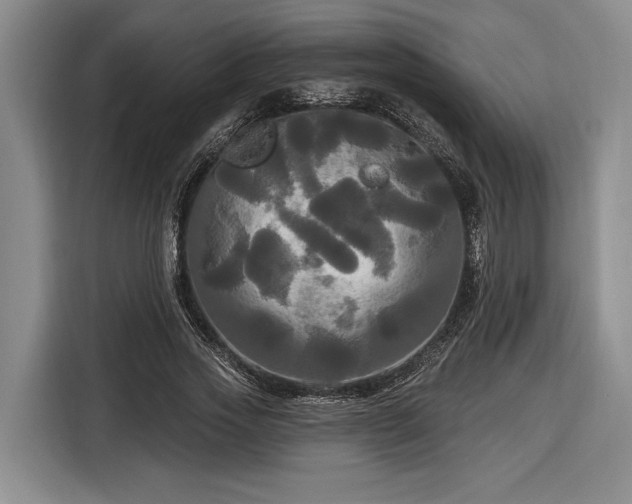 X0000116570733200912171503