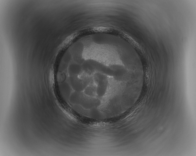 X0000116570734200912171503