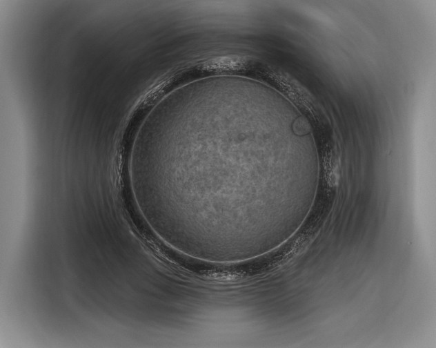 X0000116570735200912171503