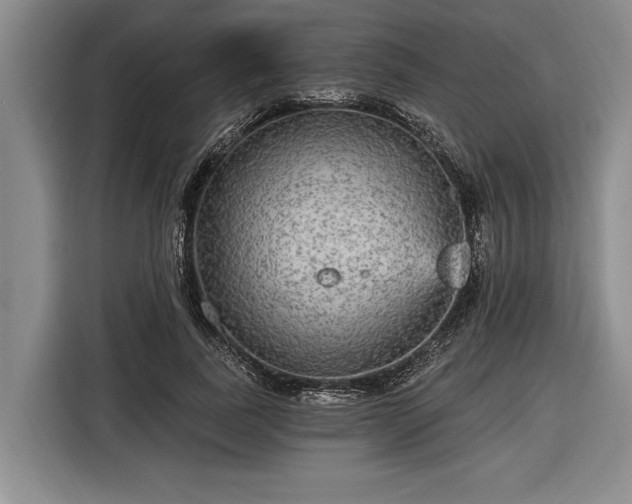 X0000116570739200912171503