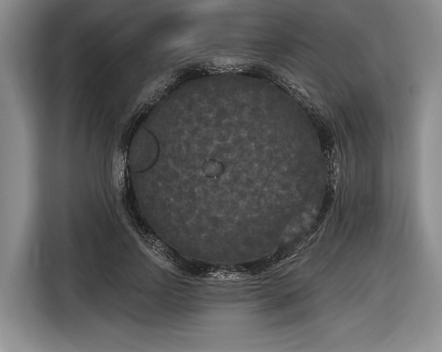 X0000116570742200912171503