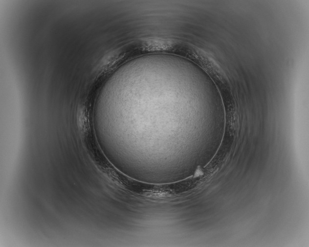 X0000116570743200912171503