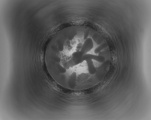 X0000116570745200912171503