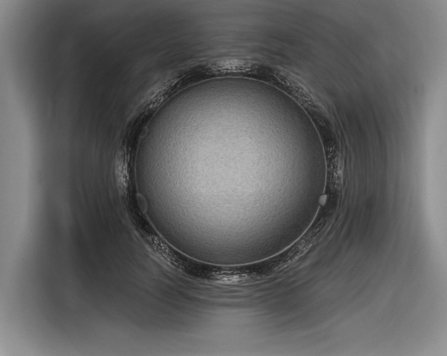 X0000116570746200912171503