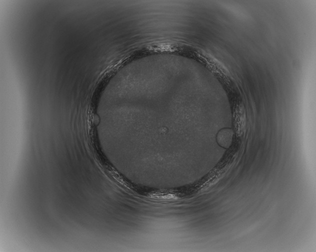 X0000116570747200912171503