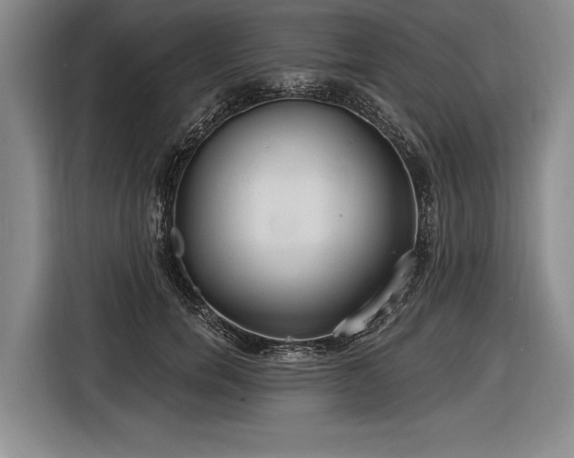 X0000116570750200912171503