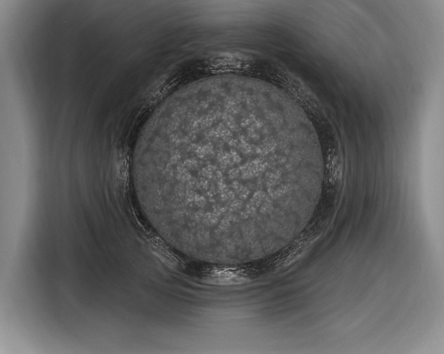 X0000116570753200912171503