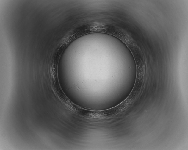 X0000116570755200912171503