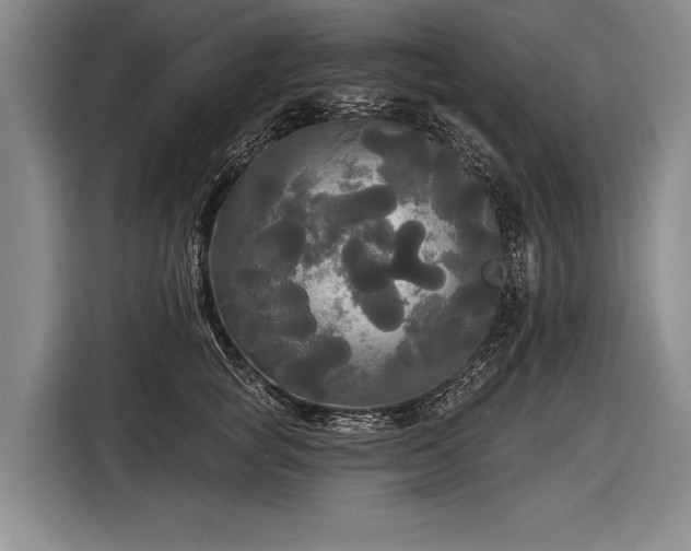 X0000116570757200912171503