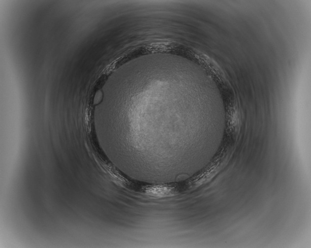 X0000116570759200912171503