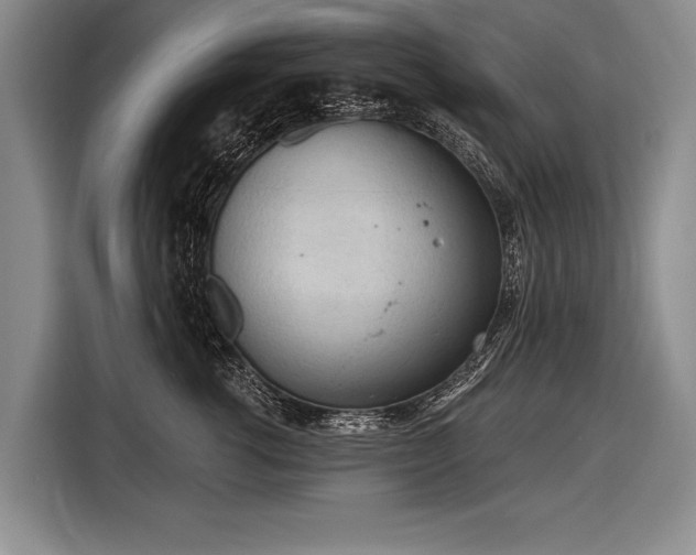 X0000116570762200912171503