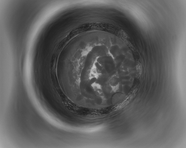 X0000116570765200912171504