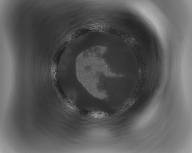 X0000116570767200912171504