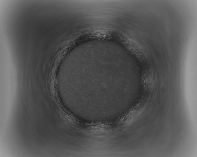 X0000116570769200912171503