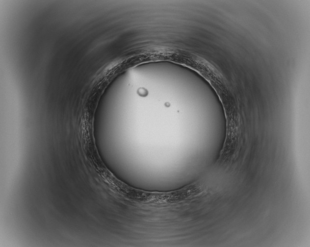 X0000116570773200912171503