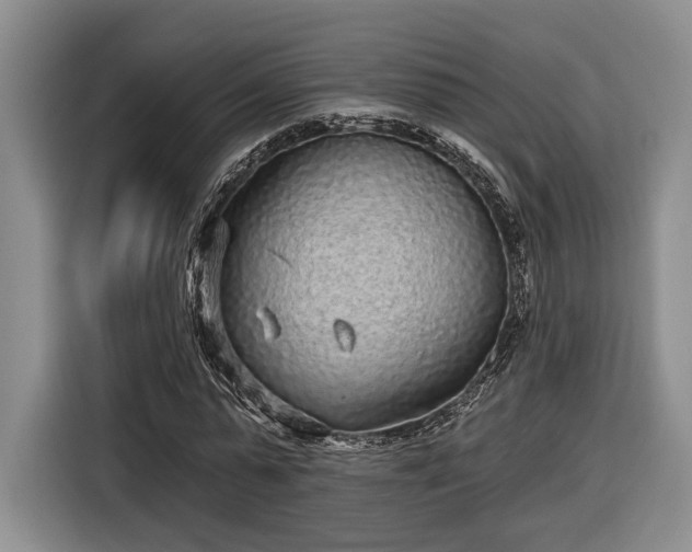 X0000116570775200912171503