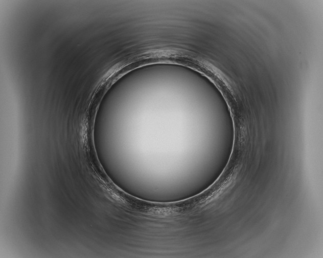 X0000116570778200912171503