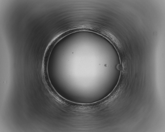 X0000116570780200912171503