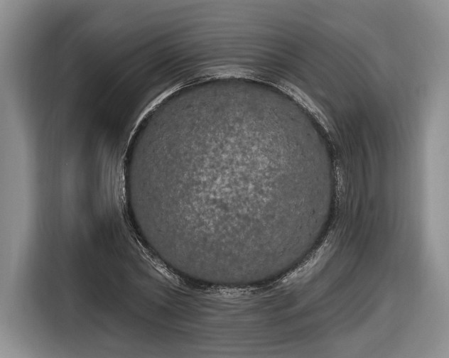 X0000116570782200912171503