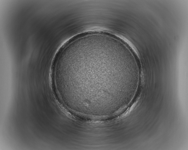 X0000116570783200912171503