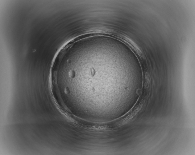 X0000116570788200912171503