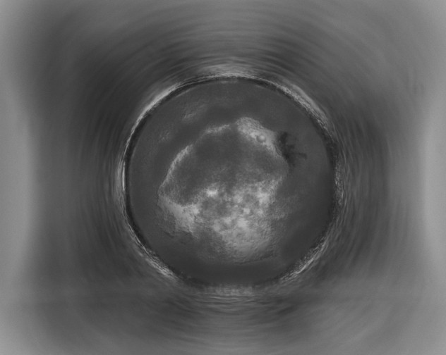 X0000116570790200912171503