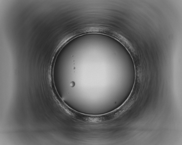 X0000116570794200912171503