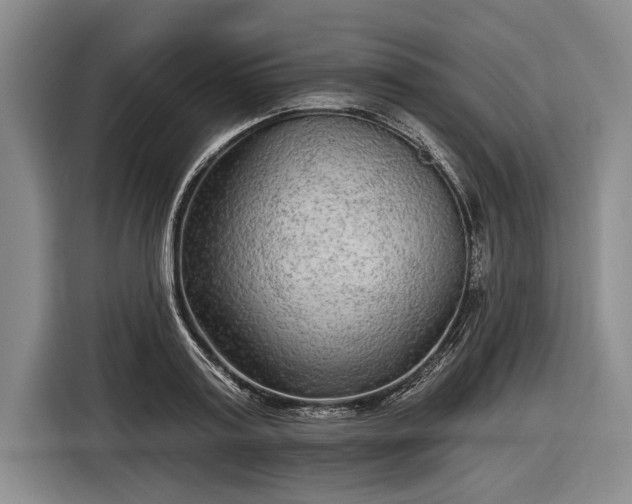 X0000116570795200912171503