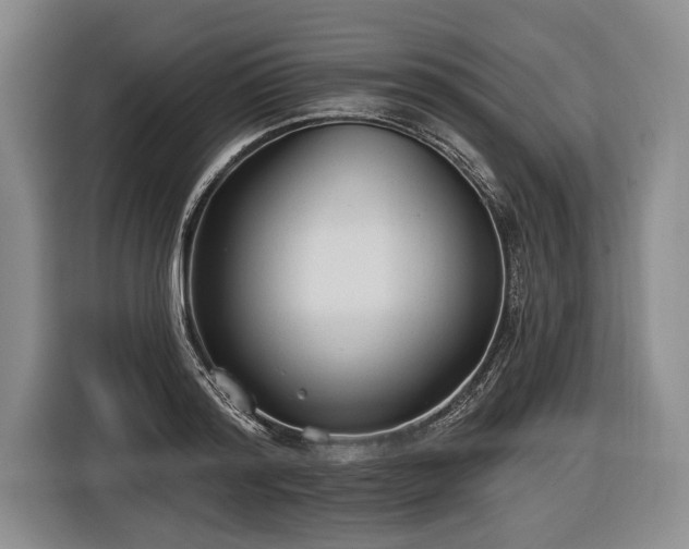 X0000116570796200912171503