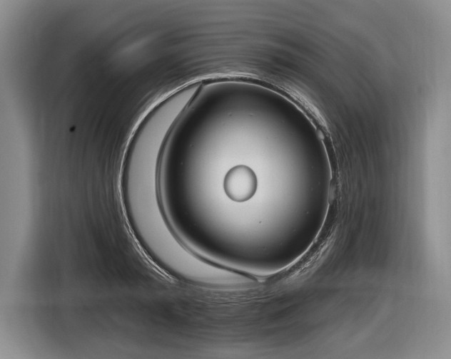 X0000116570797200912171503