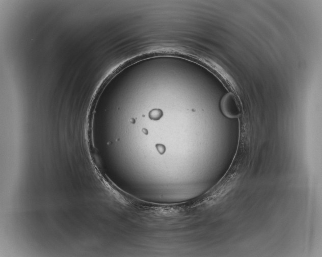 X0000116570799200912171503