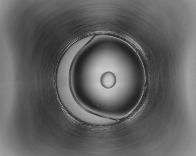 X0000116570801200912171503