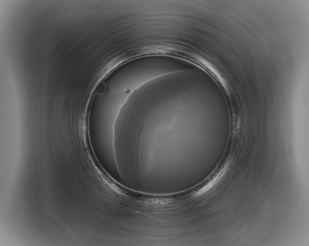 X0000116570802200912171503