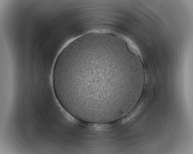 X0000116570803200912171503