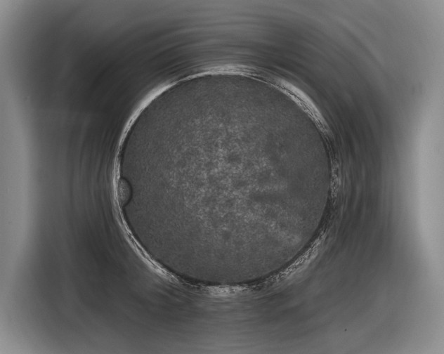 X0000116570804200912171502