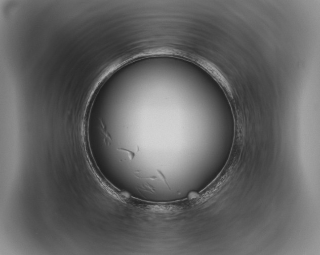 X0000116570805200912171502