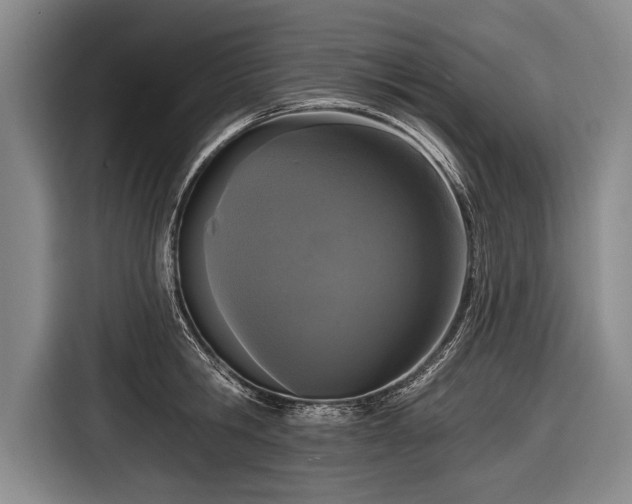 X0000116570806200912171502