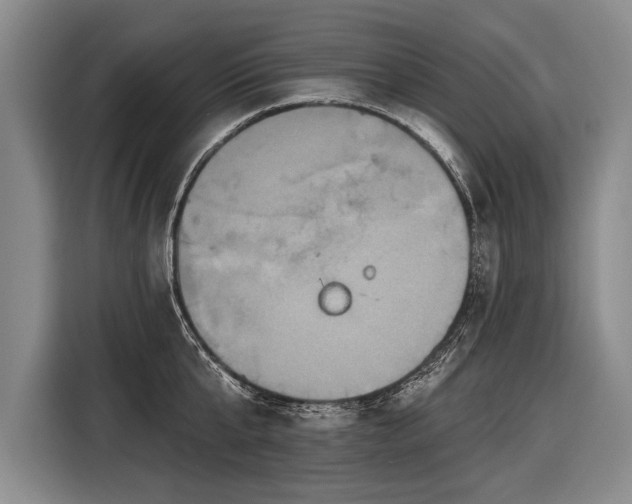 X0000116570807200912171502