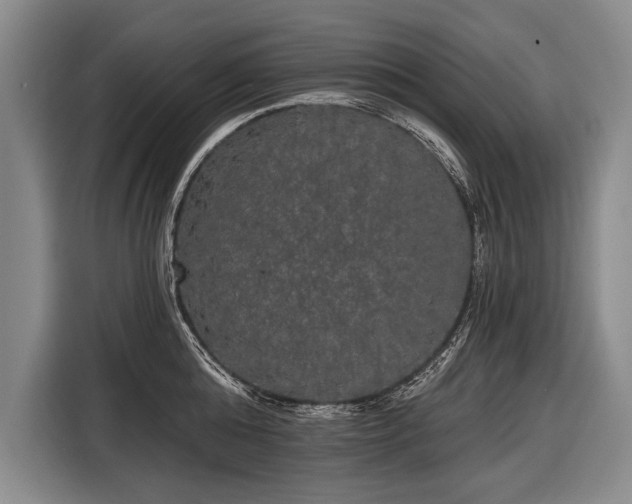 X0000116570808200912171502