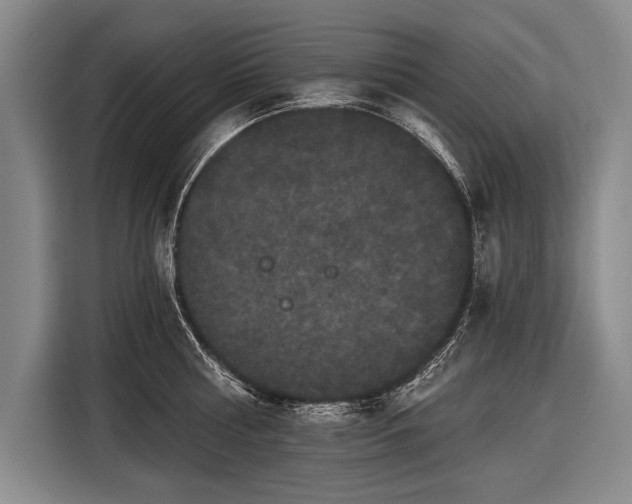 X0000116570810200912171502