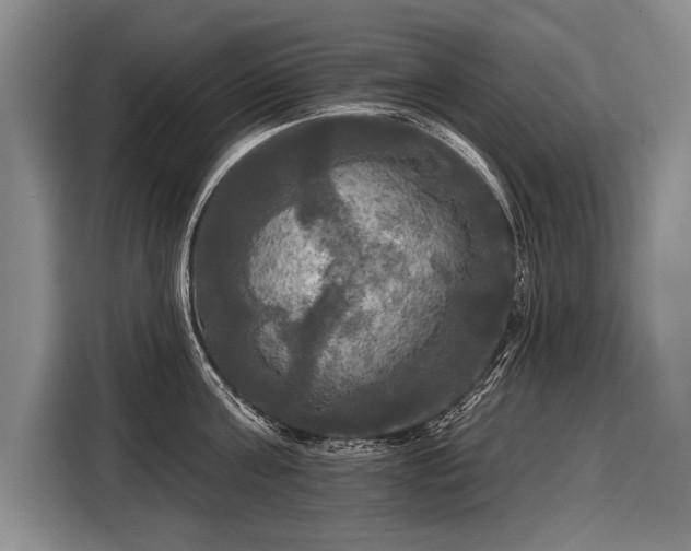 X0000116570811200912171502