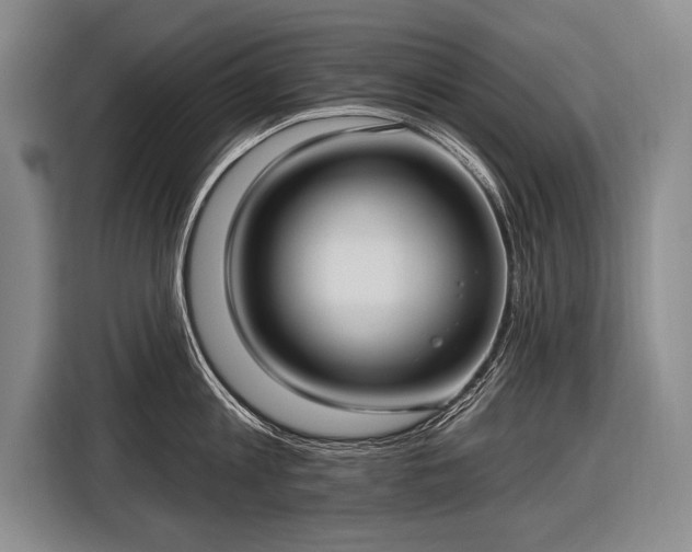 X0000116570813200912171502